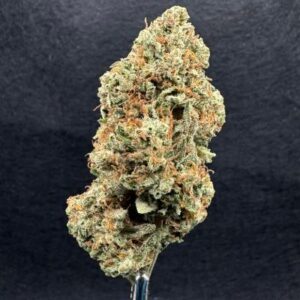 Don Carlos flower Test Sample Full